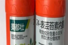 芸苔素内酯使用注意事项，宜在上午11点左右使用