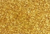 播种前怎么处理小麦种子，需要在土麦场上晾晒1-2天