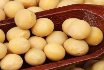 中黄302大豆栽培技术要点，高肥力地块3万株