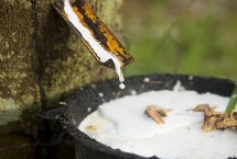 橡胶制品有哪些，2021年达到87.16万吨