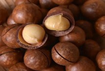 夏威夷果中国能种植吗，以食用为主是世界上最好的桌上坚果之一