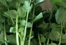 西洋菜的价格，售价因各地的市场而异