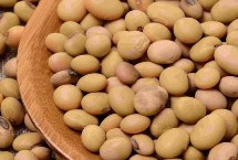 大豆重迎茬生育期间如何防治病虫害，需根据实际情况采取针对性措施