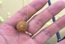 螺鲤2号+大野战九一八+天下鲤，试试这5个