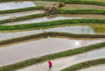 谷雨由来，是春季的最后一个节气