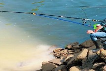 鲫鱼送漂是什么原因，仔细观察漂相