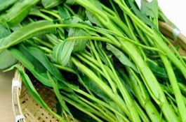 空心菜烂根怎么办，播种前需先浸种