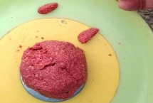 夏钓适宜位置，大多数情况下都使用香饵