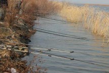 秋天用蚯蚓能不能钓到鱼，可以钓到鱼但要注意作钓时间