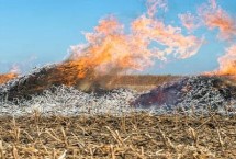秸秆焚烧处罚规定，会烧死大量的土壤微生物