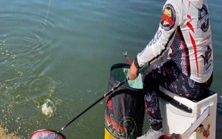 0.4号子线适合绑多大的钩子,建议配合1号袖钩、1号溪流钩等