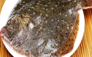 多宝鱼是海鱼还是淡水鱼，属于海鱼