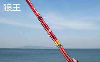质量较好的谷麦竿品牌,狼王以高质量和性价比被广大钓友认可