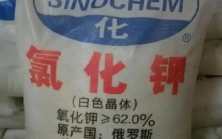 东北水稻什么时候种植，在4月中上旬进行