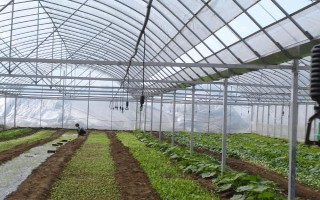 水肥一体化的技术要领，固态肥料要与水混拌成液肥