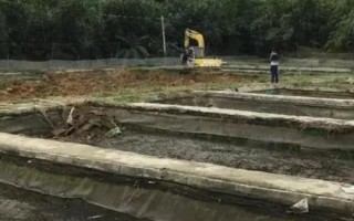 开春怎么清理养殖池，消毒后要二次杀菌