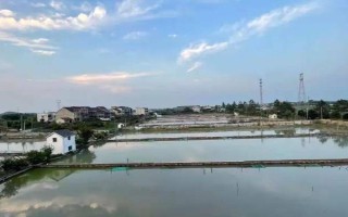 甲鱼的养殖方法，日常巡查工作很重要