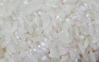 东北大米的品种，常见的有长粒香、稻花香、珍珠米等