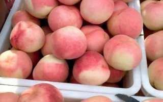 好吃的桃子品种有哪些，鹰嘴桃、砀山黄桃、水蜜桃、黄金油桃等品种的口感比较好