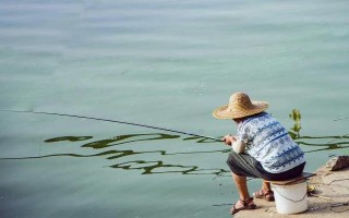 台钓鲫鱼子线要多长，根据鱼情、季节、钓法等决定