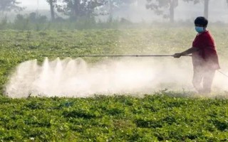 矿物油农药的使用方法，针对不同作物的使用方法不同