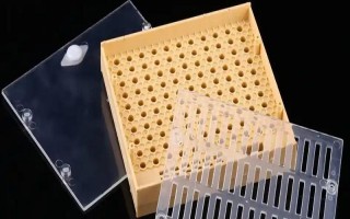 免移虫育王盒的如何使用，先放到蜜糖水中浸泡2-4小时