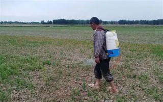 冬季打农药要注意什么，在晴天高温时段用药效果更好