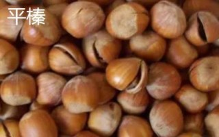 榛子的种植前景,市场需求大、种植后收益较可观