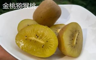 猕猴桃的名字由来，是受到猕猴的喜爱