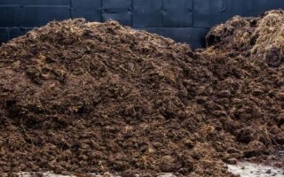 养猪场如何才能预防火灾,一定要使用防火材料建设