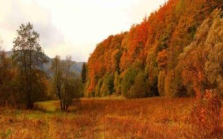 怎么区分公秋和母秋，公秋是指农历6月份入秋、母秋是指农历7月份入秋