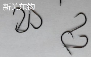 钓鲮鱼的技巧，浮漂可选立漂或七星漂