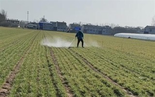 农药在100℃的高温下还有没有药性,大多数药物依然具有效果