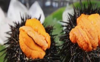 山东烟台市的特产,烟台海参闻名海内外