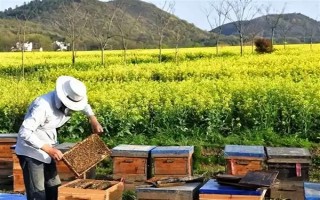 蜜蜂春繁在几月，间因各地气候不同而有差异
