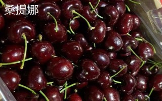 车厘子的品种介绍，常见的有金车车厘子、红灯、美早等