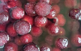 杨梅有虫子怎么泡，盐水加生粉浸泡效果好