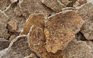 黄尾鱼简介，因尾鳍呈桔黄色而得名