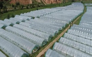 大棚内遮阳和外遮阳的区别，前者在棚内安装遮阳系统、后者直接把阳光阻挡在棚外