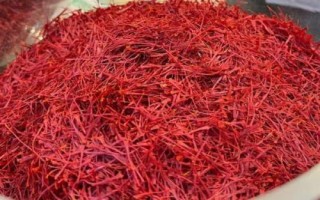 藏红花介绍,属于鸢尾科植物