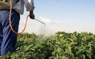 蔬菜上禁止施用哪些农药,这几类坚决不能用