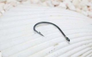 钓鲶鱼用什么钩型最好，常用丸世钩、伊豆钩、千又钩等