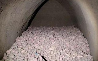 水果红薯是什么品种，是红薯的一个种类