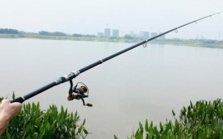 1.8米鱼竿何时使用,手竿适合在精养池、桥洞、近岸边等位置作钓