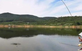 谷麦竿使用技巧,一是多窝走钓,二是适当逗钓