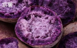 紫薯和红薯的区别，前者味甜较贵、后者甜味淡较便宜