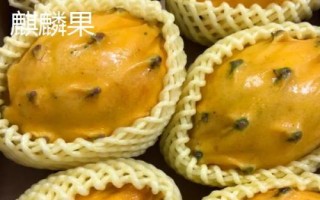 火参果是什么季节的水果，是夏秋季节的水果