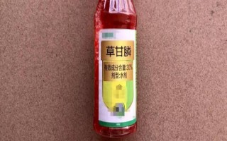 早上有露水打草甘膦行吗，可以打但会影响效果