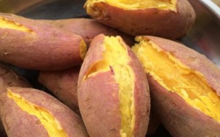 野钓鲤鱼有哪些饵料比较好用,蚯蚓、玉米、红薯均为不错的选择