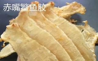 什么品种的花胶比较好，常见的有金钱鳌鱼胶、大须金钱鳘鱼胶等